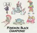 Pokemon Black Champions