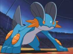 20220410-swampert3