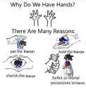 Why do we have hands 1