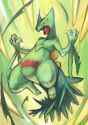 __sceptile_pokemon_drawn_by_rightorisamraido3__2e6bd7628d6a4c4491b98bdd034cdedd