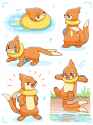 __buizel_pokemon_drawn_by_neko_gyoza__18ba4465f7ee86a4e71f05e6a7ae7f14