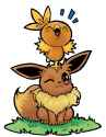 eevee and torchic