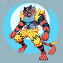 incineroar-zeraora [2]