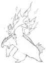 101129 - artist_pr_quote pokemon typhlosion