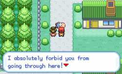 06-elderly-man-in-viridian-city-blocking-the-path-pokemon-frlg-screenshot