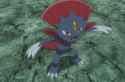 12-facts-about-weavile-1689584173-2973152233