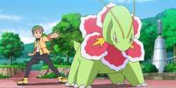 pokemon-meganium-feature-4267417053