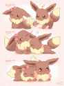 __eevee_pokemon_drawn_by_mugita_konomi__702f80d6e842008922f9171c355ef77d