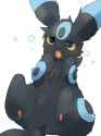 Fluffy Umbreon