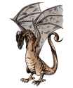 wyvern