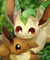 __eevee_and_leafeon_pokemon_drawn_by_pon_nurunuruparty26__37a3ed469c73a4d7156a7144e6701c7c