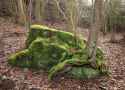 Mossy_rock%2C_Redding%27s_Inclosure_-_geograph.org.uk_-_1700677