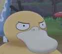 psyduck