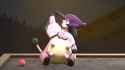 0241(Miltank)_Wicke