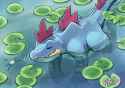 feraligatr25