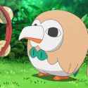 rowletxatu