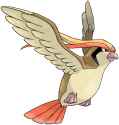 pidgeot