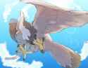 __staraptor_pokemon_drawn_by_qua__sample-6b84adc65d14e81b6472c6e402f232ed