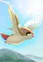 __pidgeot_pokemon_drawn_by_tkc_user_snjd8547__sample-da71af96d02c6b36aa33043a2df16944