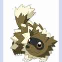 zigzagoon_fast