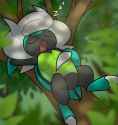 Shiny Kaburion sleeping in a tree