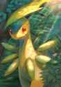 __bayleef_pokemon_drawn_by_kikuyoshi_tracco__847b5d5d4c5b9089b63b98a7c34f8d4d