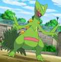 Sceptile_(Sawyer)