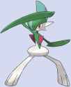 475 Gallade