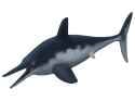 Ophthalmosaurus_icenicus_updated_reconstruction