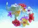 GW9AB8ObMAA1JOh-1453608161