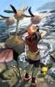 dodrio
