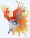 f40f398e900a00d819fa76a7f4b33deb