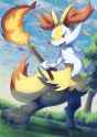 __braixen_pokemon_drawn_by_tanpakuroom__3c77199352097707525830bc0309c970