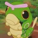 Caterpie