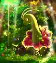 meganium suiryu