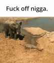 fuck off nigga