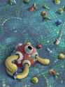 shuckle_@sakusakufugashi
