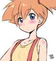 70a335f076ef5bb184cf5e2dbced5763
