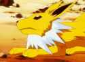 xiaoboramedia-jolteon