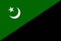 250px-Anarcho-Islamist_flag