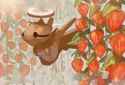 shedinja_@67tuyu67