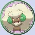 token_3 (22)