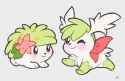 shaymin
