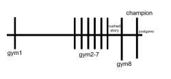1747250869832050s