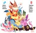 Eevees properly gendered