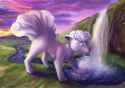 1651173332.maroko_vulpix_resized