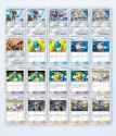 Screenshot_20250516_174657_Pokmon TCGP