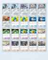 Screenshot_20250516_174657_Pokmon TCGP