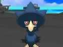 murkrow