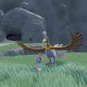 shone birb